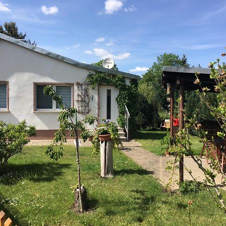 Ferienhaus An Der Selke Meisdorf المظهر الخارجي الصورة