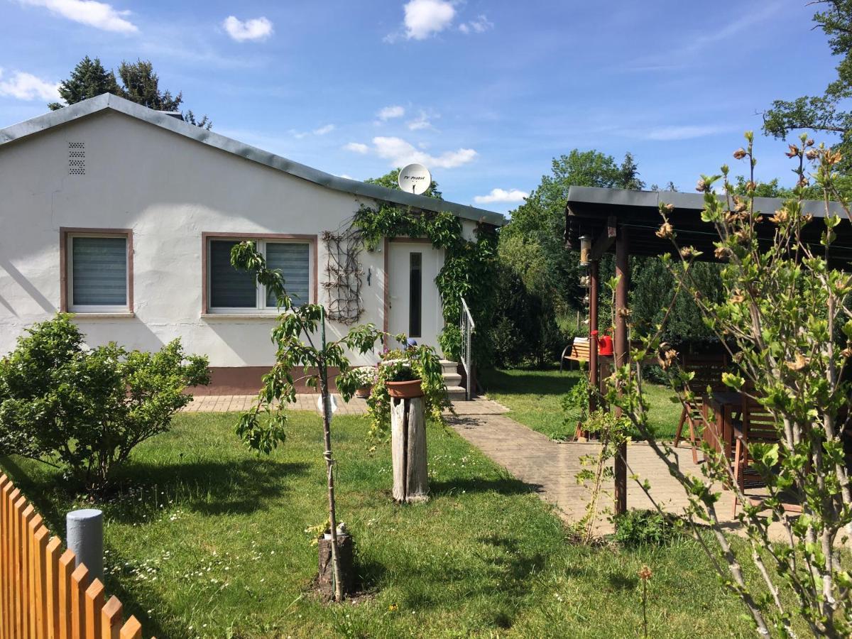 Ferienhaus An Der Selke Meisdorf المظهر الخارجي الصورة