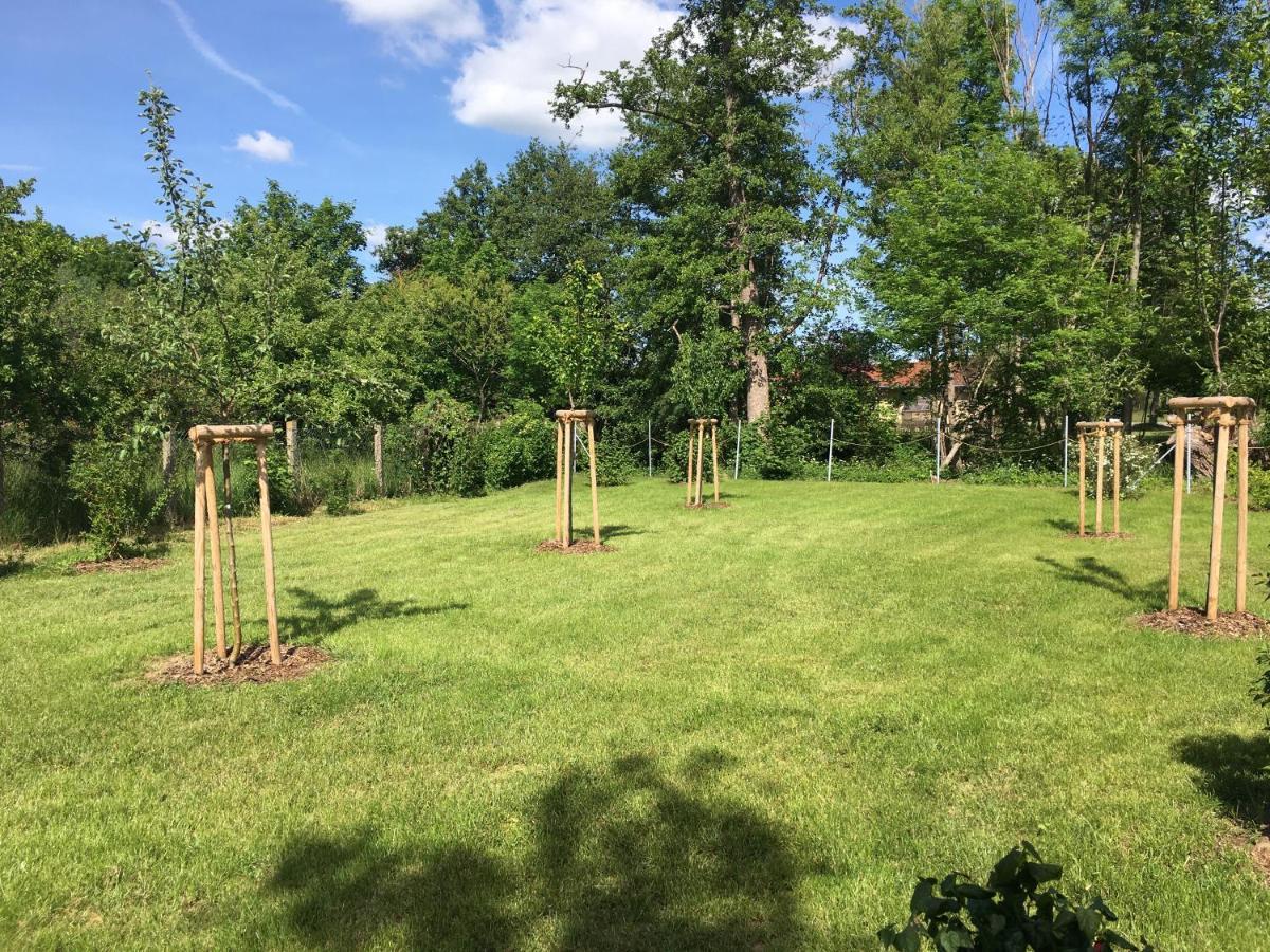Ferienhaus An Der Selke Meisdorf المظهر الخارجي الصورة